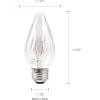 imageSYLVANIA F15 Dcor Incandescent Light Bulb 25W Iridescent Finish 205 Lumens Medium Base 120V  2 Pack 13821 Warm White2 Count Pack of 1