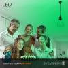 imageSYLVANIA LED Green Glass Filament A19 Light Bulb Efficient 45W 40W Equivalent Dimmable E26 Medium Base  1 Pack 40303Green