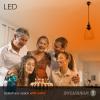 imageSYLVANIA LED Green Glass Filament A19 Light Bulb Efficient 45W 40W Equivalent Dimmable E26 Medium Base  1 Pack 40303Orange