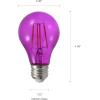 imageSYLVANIA LED Green Glass Filament A19 Light Bulb Efficient 45W 40W Equivalent Dimmable E26 Medium Base  1 Pack 40303Purple