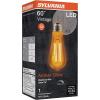 imageSYLVANIA LED Vintage ST19 60W Equivalent Efficient 7 W E26 Medium Base Dimmable 2175K Amber Glow Light Bulb 1 pack
