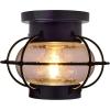 imageSYLVANIA Vintage Essex Cage Light Fixture SemiFlush Mount with 1 60W LED Dimmable Bulb Included Dimmable 75515 Antique BlackAntique Black