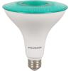 imageSylvania LED Flood PAR38 Green Light Bulb Efficient 9W NonDimmable 5 Year E26 Medium Base  1 Pack 40829Green