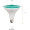 imageSylvania LED Flood PAR38 Green Light Bulb Efficient 9W NonDimmable 5 Year E26 Medium Base  1 Pack 40829Green