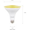 imageSylvania LED Flood PAR38 Green Light Bulb Efficient 9W NonDimmable 5 Year E26 Medium Base  1 Pack 40829Yellow