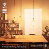 imageSylvania WiFi LED Smart ST19 Light Bulb 5W Efficient with Filament for AlexaGoogle Assistant Energy Star Clear 2700K Soft White  1 Pack 75799Amber