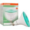 imageSylvania LED Flood PAR38 Green Light Bulb Efficient 9W NonDimmable 5 Year E26 Medium Base  1 Pack 40829Green