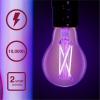 imageSylvania Black Light LED Light Bulb 7W A19 Medium Base Clear  1 Pack 42560