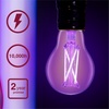 image:imageSylvania Black Light LED Light Bulb 7W A19 Medium Base Clear  2 Pack 450521 Pack
