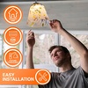 image:imageSylvania LED Glass Lamp with Textured Circle Shape 35W E26 Medium Base 300 Lumens 3000K Warm White for Living RoomsHallwaysBedrooms  1 Pack 42697Textured Circle Shape